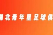 澳门百家乐平台-官方：聂傲双、唐鑫、郭毅、陈佳奇、李彪加盟湖北青年星